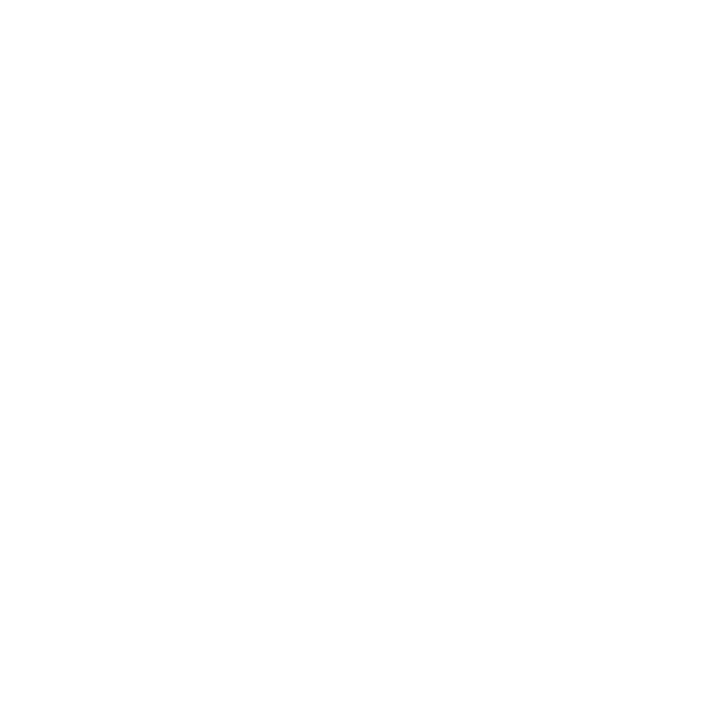 Fanvibe logo